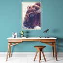 Vivarti Matt White Standard Frames-4