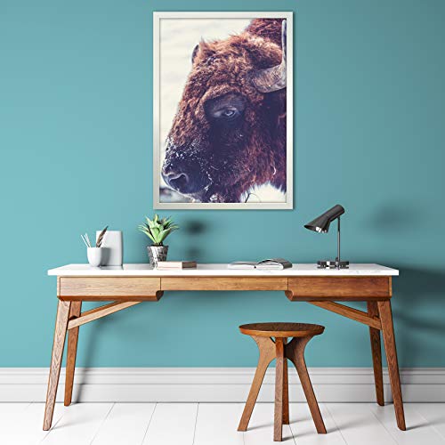 Vivarti Matt White Standard Frames