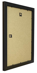 Vivarti Black Ash Standard Frames-28