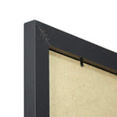 Vivarti Black Ash Standard Frames-29