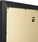 Vivarti Black Ash Standard Frames-3