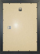 Vivarti Black Ash Standard Frames-10