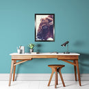 Vivarti Black Ash Standard Frames-27