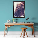 Vivarti Satin Black Standard Frames Metric-8