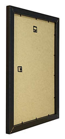 Vivarti Satin Black Standard Frames Metric-6