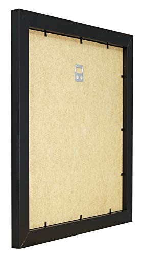 Vivarti Satin Black Standard Frames Metric