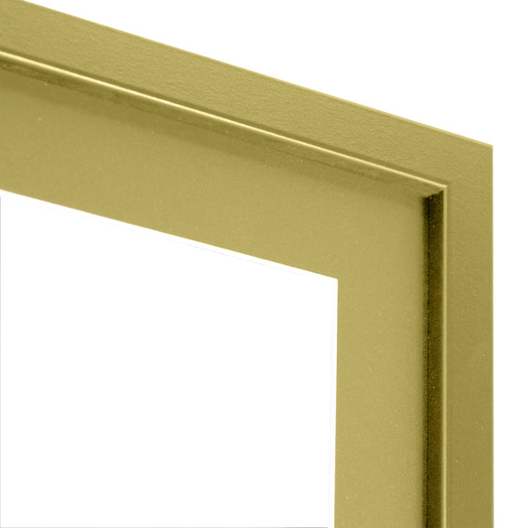 Vivarti DIY 3D Mounted Sports Shirt Display Gold  Frame with Colour Mounts