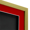 Vivarti DIY 3D Mounted Sports Shirt Display Gold  Frame with Colour Mounts-143