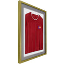 Vivarti DIY 3D Mounted Sports Shirt Display Gold  Frame with Colour Mounts-26